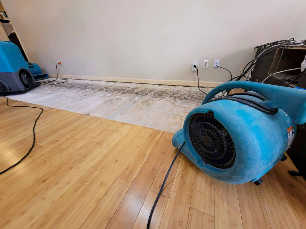 Reliable Basement Flood Cleanup contractor in Yale, OK by Hirex Water Damage