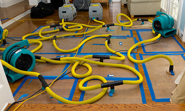 Professional Basement Flood Cleanup technician working in Yale, OK